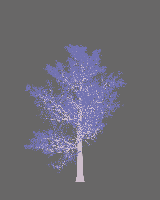 greenshift tree