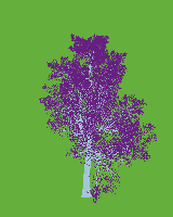 greenshift tree
