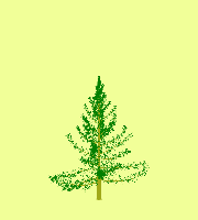 greenshift tree