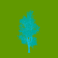 greenshift tree