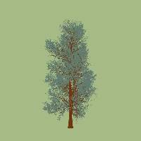 greenshift tree