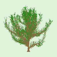 greenshift tree