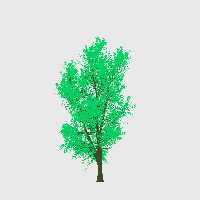 greenshift tree