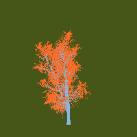 greenshift tree