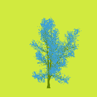 greenshift tree