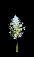 greenshift tree