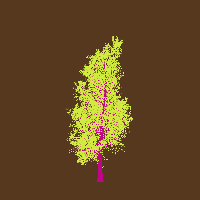 greenshift tree