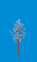 greenshift tree