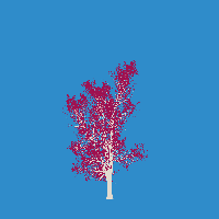 greenshift tree