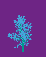 greenshift tree