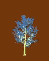 greenshift tree