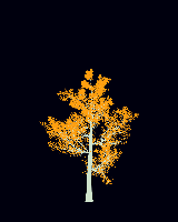 greenshift tree