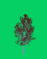 greenshift tree