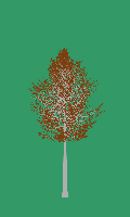 greenshift tree