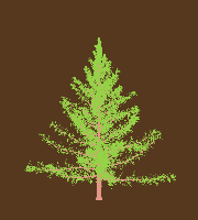 greenshift tree