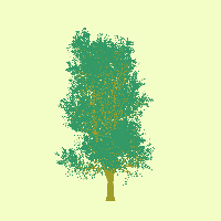 greenshift tree