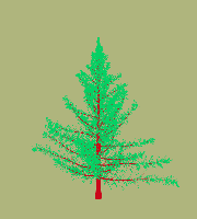 greenshift tree