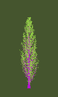 greenshift tree