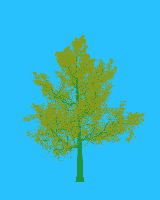 greenshift tree