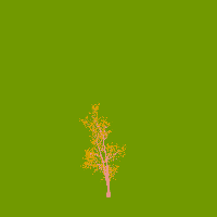 greenshift tree