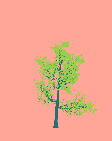 greenshift tree