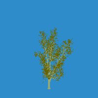 greenshift tree