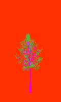 greenshift tree