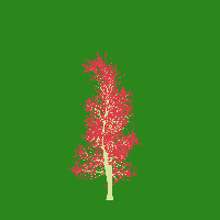 greenshift tree