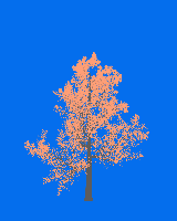 greenshift tree