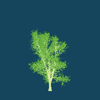 greenshift tree