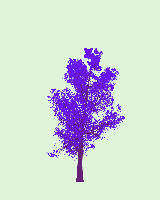 greenshift tree