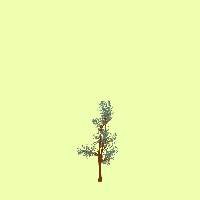 greenshift tree