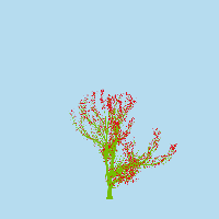 greenshift tree