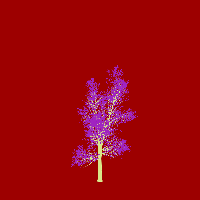 greenshift tree