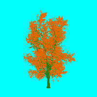 greenshift tree