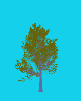 greenshift tree