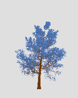 greenshift tree