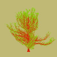greenshift tree