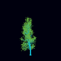 greenshift tree