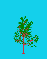 greenshift tree