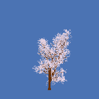 greenshift tree