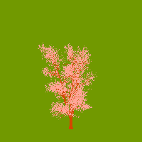 greenshift tree