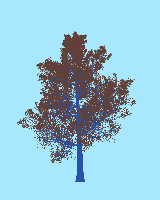 greenshift tree