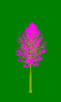 greenshift tree