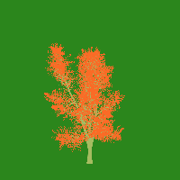 greenshift tree