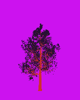 greenshift tree
