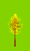greenshift tree
