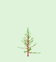 greenshift tree