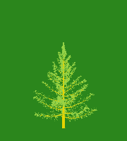 greenshift tree