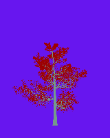 greenshift tree